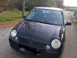 Schwarz Gebraucht 2002 VW Lupo Kleinwagen | 1.400 € (Fairer Preis)