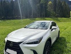 Weiß Gebraucht 2024 Lexus NX350h Business Edition SUV | 44.860 € (Superpreis)