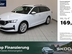 Moonweiß metallic Gebraucht 2024 Skoda Octavia Selection Kombi | 29.940 € (Fairer Preis)