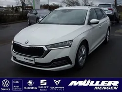 Candyweiss Gebraucht 2021 Skoda Octavia Style Kombi | 22.990 € (Fairer Preis)