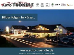Grau Gebraucht 2020 Skoda Fabia Soleil Kombi | 12.420 € (Guter Preis)