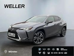 Grau Gebraucht 2021 Lexus UX 250h SUV | 26.990 € (Guter Preis)