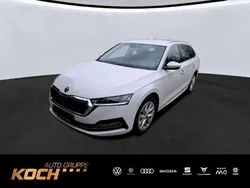 Weiß Gebraucht 2020 Skoda Octavia First Edition Kombi | 18.930 € (Fairer Preis)
