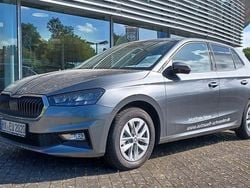 Grau Gebraucht 2024 Skoda Fabia Selection Kleinwagen | 21.480 € (Teuer)