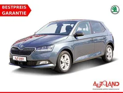 Andere Gebraucht 2019 Skoda Fabia Soleil Kleinwagen | 15.950 € (Teuer)