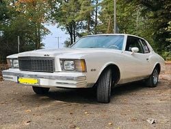 Weiß Gebraucht 1979 Chevrolet Monte Carlo Coupé | 13.900 €