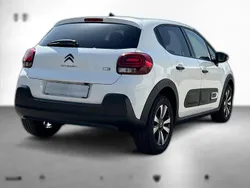 Weiß Gebraucht 2023 Citroën C3 Shine Kleinwagen | 15.220 € (Fairer Preis)
