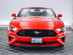 Rot Gebraucht 2019 Ford Mustang Premium Cabrio | 32.900 € (Teuer)