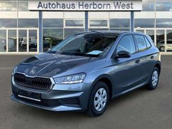 Grau Gebraucht 2025 Skoda Fabia Essence Kleinwagen | 15.950 € (Superpreis)