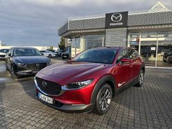 Neu 2025 Mazda CX-30 Takumi-Line SUV | 36.270 €