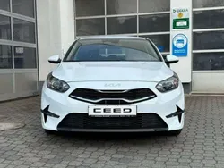 Cassaweiß Neu 2024 Kia Ceed Vision Limousine | 24.990 € (Fairer Preis)