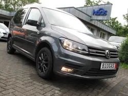Grau Gebraucht 2016 VW Caddy Trendline Van / Kleinbus | 14.887 € (Etwas zu teuer)