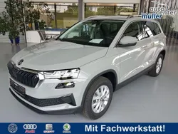 Stahl grau Neu 2025 Skoda Karoq SUV | 33.490 € (Guter Preis)