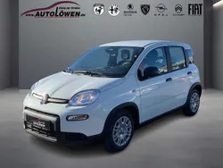 Gelato weiß Neu 2025 Fiat Panda Kleinwagen | 13.630 € (Guter Preis)