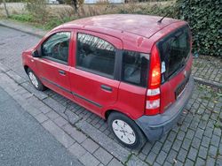Rot Gebraucht 2005 Fiat Panda Kleinwagen | 650 €