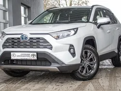 Platinumweiß perleffekt Neu 2025 Toyota RAV4 Hybrid Team SUV | 45.990 € (Fairer Preis)