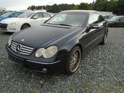 Blau Gebraucht 2002 Mercedes CLK320 Coupé | 3.250 € (Fairer Preis)