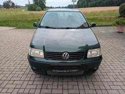 Grün Gebraucht 2000 VW Polo Kleinwagen | 1.499 € (Etwas zu teuer)