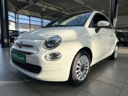 Weiß Gebraucht 2020 Fiat 500 Lounge Kleinwagen | 9.690 € (Guter Preis)