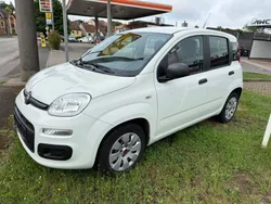 Weiß Gebraucht 2016 Fiat Panda Pop Kleinwagen | 5.500 € (Fairer Preis)