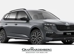 Grau Neu 2025 Skoda Kamiq Tour SUV | 29.999 € (Etwas zu teuer)