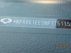 Grün Gebraucht 2022 Ssangyong (KGM) Musso SUV | 32.000 €