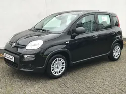 Schwarz Neu 2024 Fiat Panda Kleinwagen | 15.495 €