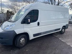 Andere Gebraucht 2013 Fiat Ducato Van | 7.490 € (Superpreis)