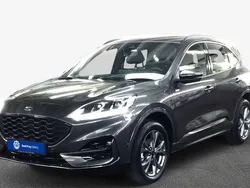 Grau Gebraucht 2024 Ford Kuga ST-Line SUV | 31.430 € (Superpreis)