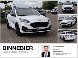 Weiß Gebraucht 2023 Ford Kuga ST-Line X SUV | 28.589 € (Superpreis)
