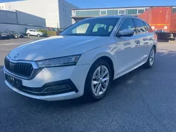 Weiß Gebraucht 2022 Skoda Octavia Limousine | 21.000 €