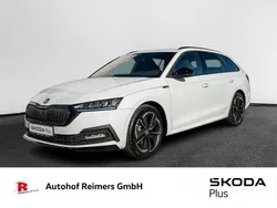 Moonweiß perleffekt Gebraucht 2024 Skoda Octavia SportLine Kombi | 32.290 € (Guter Preis)