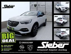 Jade weiss/arktis weiss Gebraucht 2021 Opel Grandland X Ultimate SUV | 22.990 € (Fairer Preis)