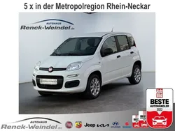 Weiss Gebraucht 2020 Fiat Panda Easy Kleinwagen | 9.989 € (Fairer Preis)