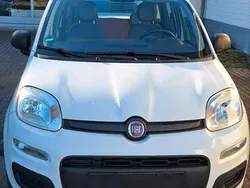 Weiß Gebraucht 2016 Fiat Panda Kleinwagen | 5.200 € (Guter Preis)
