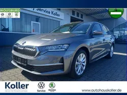 Grau Gebraucht 2024 Skoda Octavia Selection Kombi | 27.770 € (Guter Preis)
