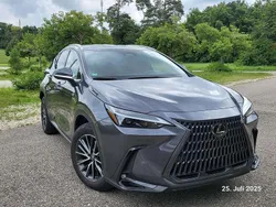 Grau Gebraucht 2023 Lexus NX350h Executive Line SUV | 45.500 €