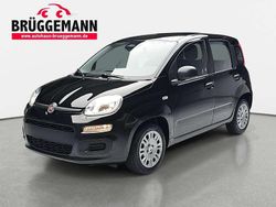 Cinema schwarz Neu 2025 Fiat Grande Panda Pop Kleinwagen | 13.990 € (Fairer Preis)