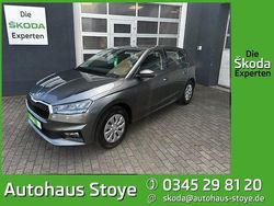 Grau Gebraucht 2025 Skoda Fabia Selection Kleinwagen | 18.750 € (Fairer Preis)
