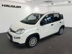 Gelato weiß Neu 2024 Fiat Panda Kleinwagen | 15.990 €