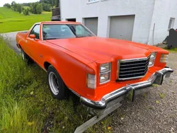 Orange Gebraucht 1979 Ford Ranchero SUV | 11.500 €