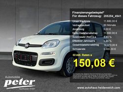 Gelato weiß Gebraucht 2025 Fiat Panda Kleinwagen | 11.880 € (Guter Preis)