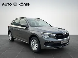 Grau Gebraucht 2024 Skoda Kamiq Selection SUV | 28.990 € (Etwas zu teuer)