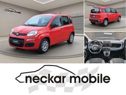 Bartolini rot Gebraucht 2021 Fiat Panda Urban Kleinwagen | 9.490 € (Fairer Preis)