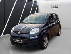 Blau Gebraucht 2019 Fiat Panda Kleinwagen | 7.590 € (Fairer Preis)