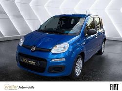 Blau Neu 2025 Fiat Panda Kleinwagen | 14.410 € (Fairer Preis)