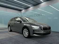 Grau Gebraucht 2024 Skoda Octavia Selection Kombi | 30.791 € (Fairer Preis)