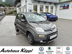 Colore esterno (colosseo grau) Gebraucht 2020 Fiat Panda 4x4 Wild Kleinwagen | 13.990 € (Fairer Preis)