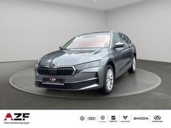 Grau Gebraucht 2024 Skoda Octavia Selection Kombi | 27.990 € (Superpreis)