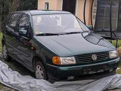 Grün Gebraucht 1999 VW Polo Kleinwagen | 599 € (Guter Preis)